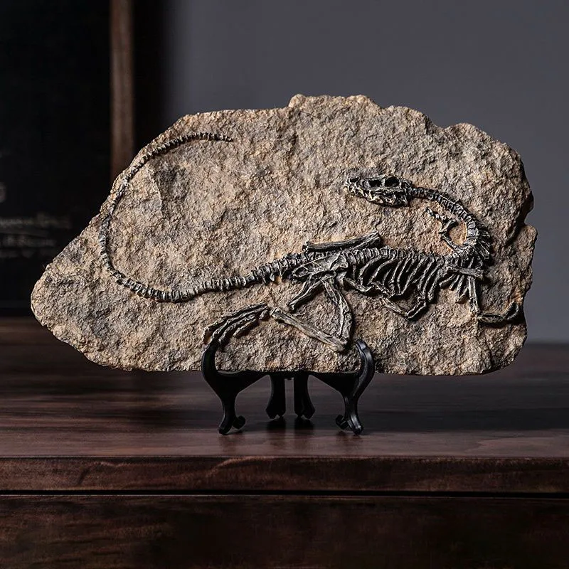Gesimuleerd dinosaurusfossielm - Resin Art Decoration Items recensie en prijs