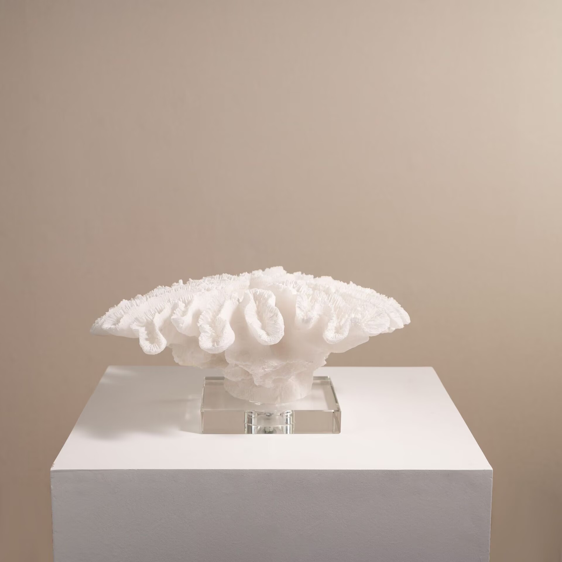Kamerdecoratieartikelen Kunstb - Resin Art Decoration Items recensie en prijs